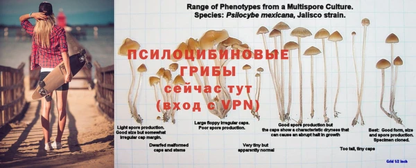 кокаин Богородицк